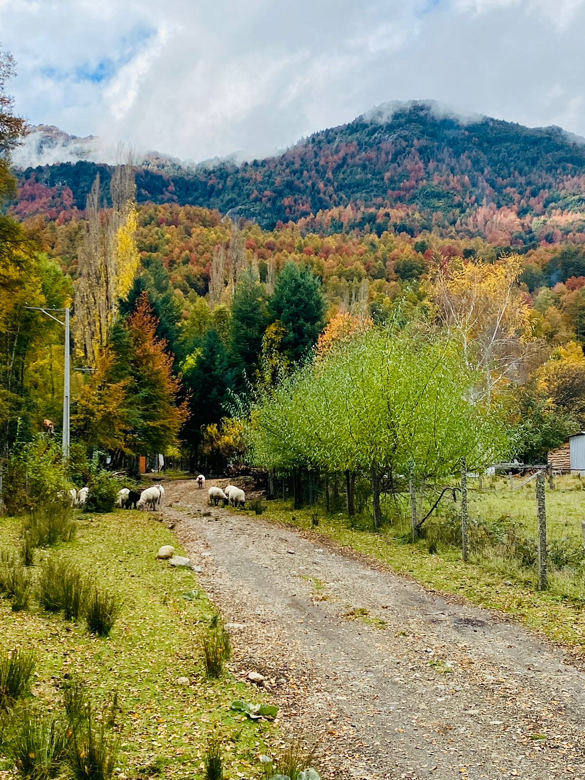 03 Parque Saltos Pocolpén