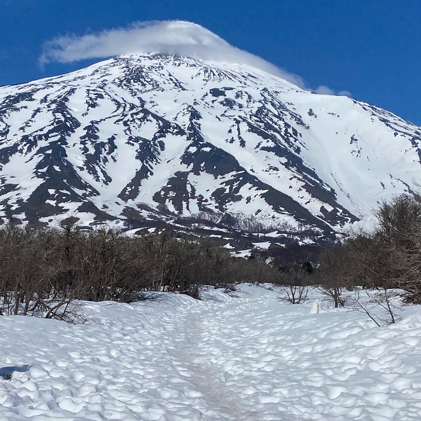 Cumbres que se ven desde el volcán Lanín